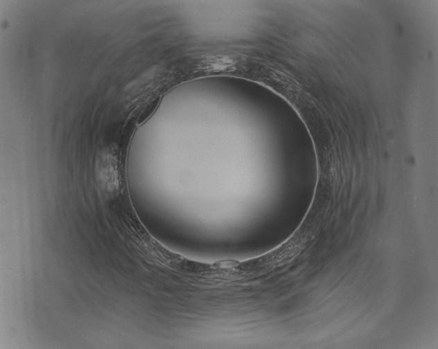 X0000073531442200607311237