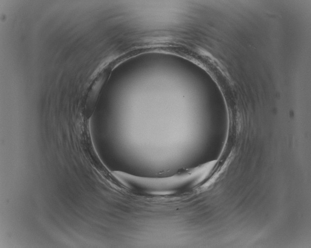 X0000073531449200607311237