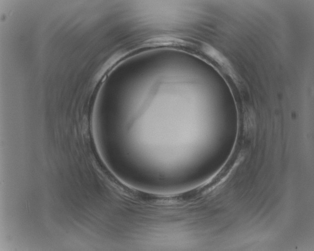 X0000073531465200607311237
