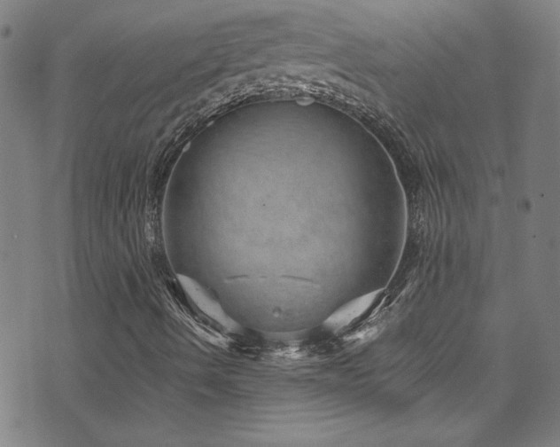 X0000073531490200607311236
