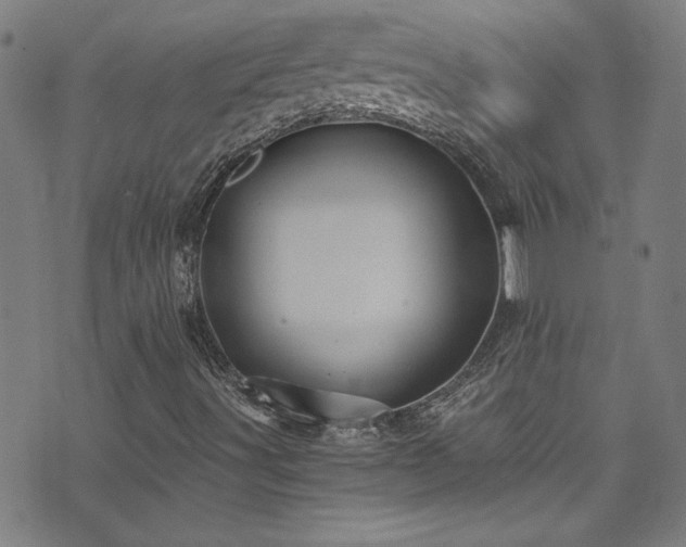 X0000073531491200607311236