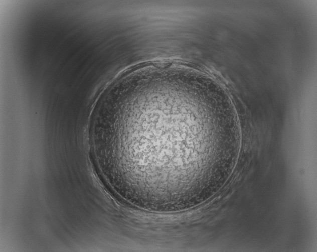X0000073530002200608071159