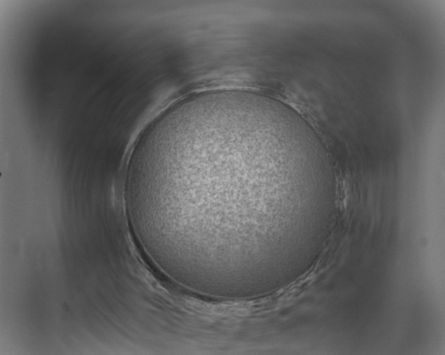 X0000073530004200608071159