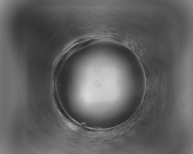 X0000073530005200608071159