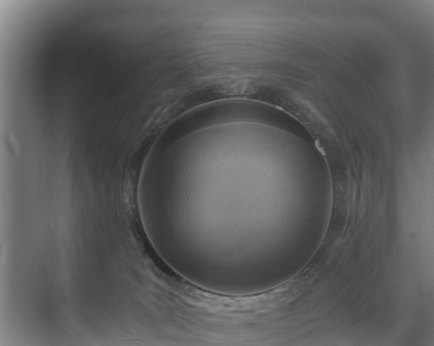 X0000073530035200608071159