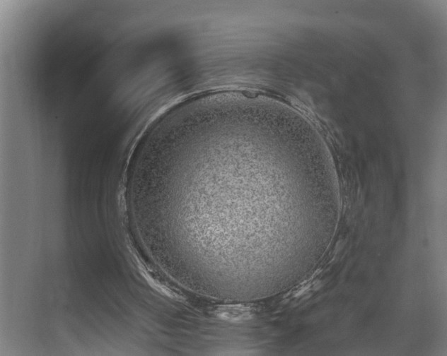 X0000073530050200608071158