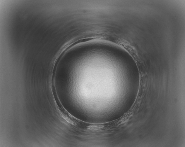 X0000073530051200608071158