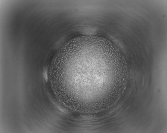 X0000073530069200608071158