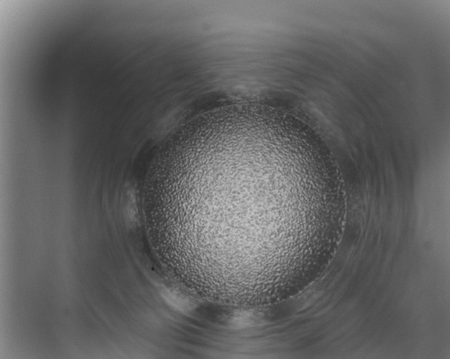 X0000073530130200608071157