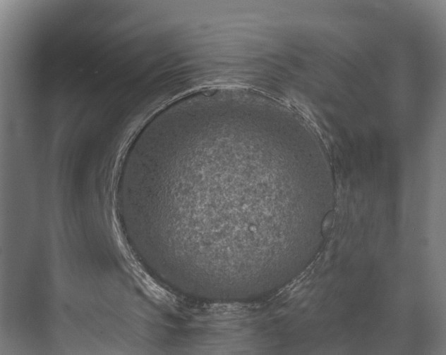 X0000073530145200608071156