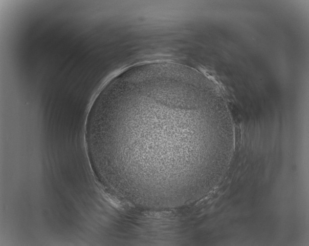 X0000073530147200608071156