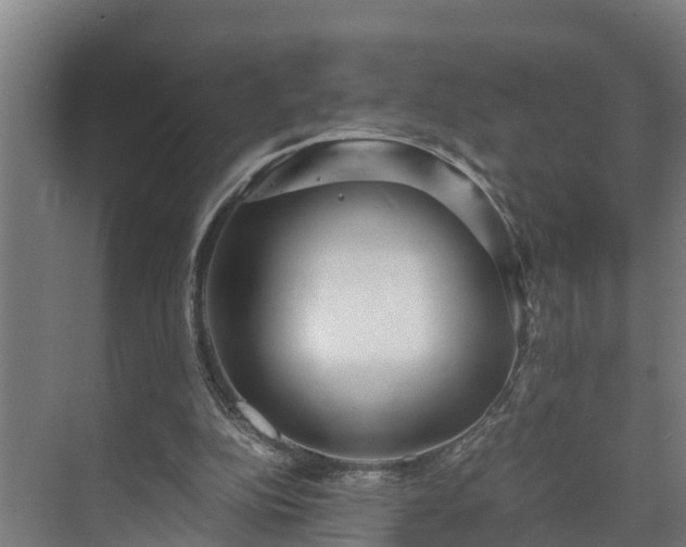 X0000073530152200608071156