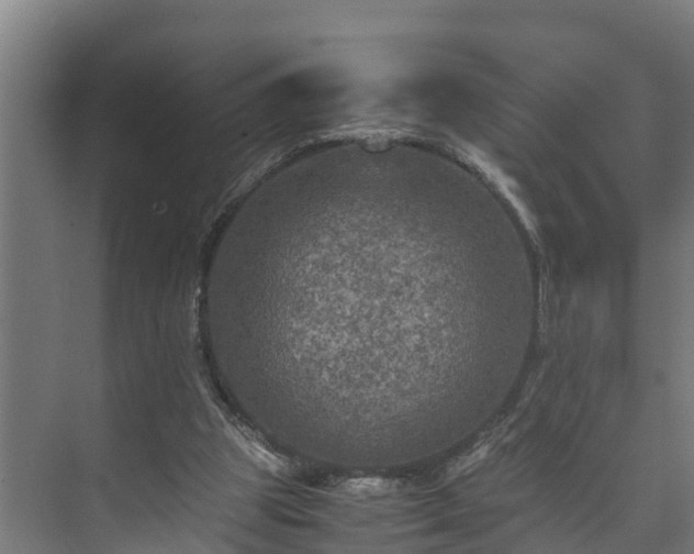 X0000073530153200608071156