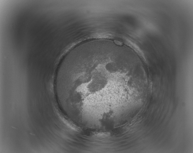 X0000073530155200608071156