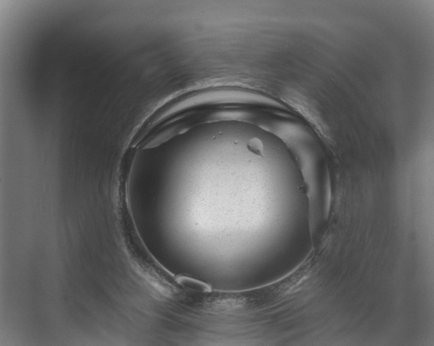 X0000073530156200608071156