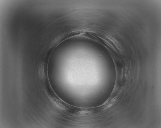 X0000073530158200608071156