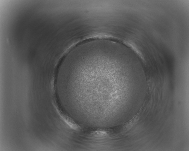 X0000073530159200608071156