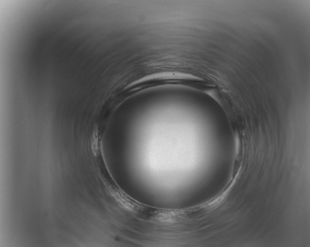 X0000073530190200608071157