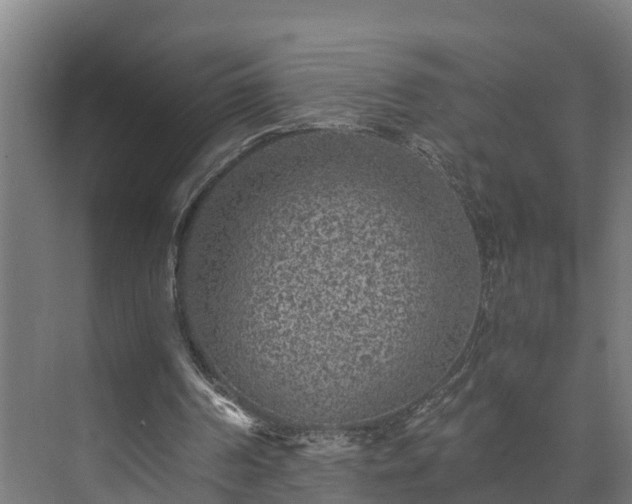 X0000073530194200608071156