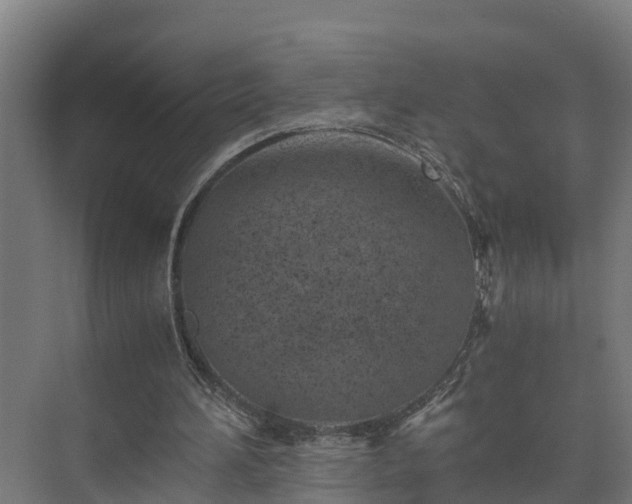 X0000073530196200608071156