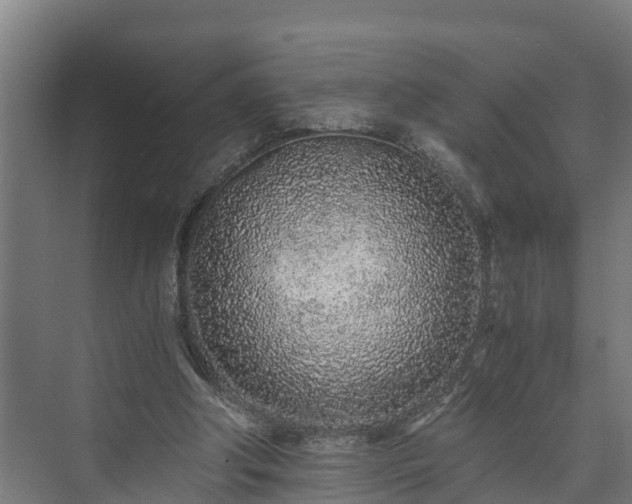 X0000073530202200608071156