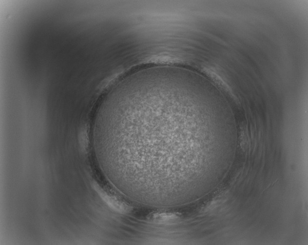 X0000073530208200608071156