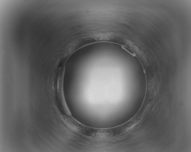 X0000073530209200608071156