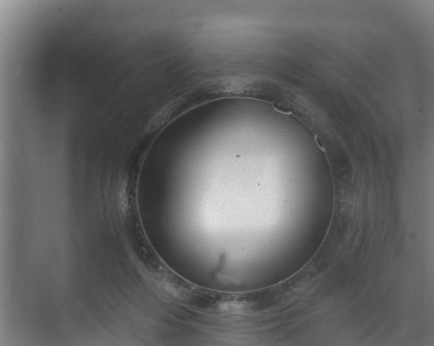 X0000073530216200608071156