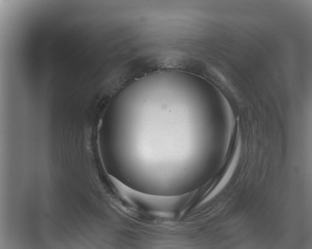 X0000073530217200608071156