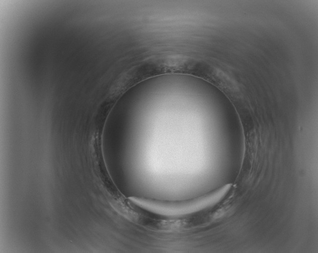 X0000073530225200608071156