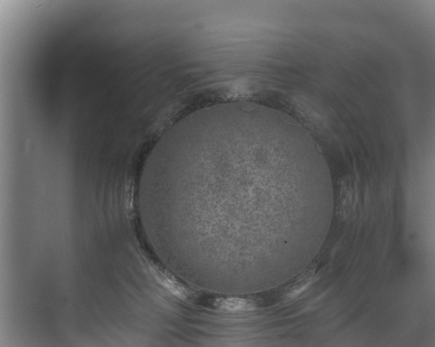 X0000073530230200608071156