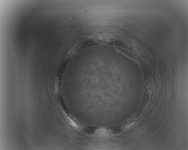 X0000073530231200608071156