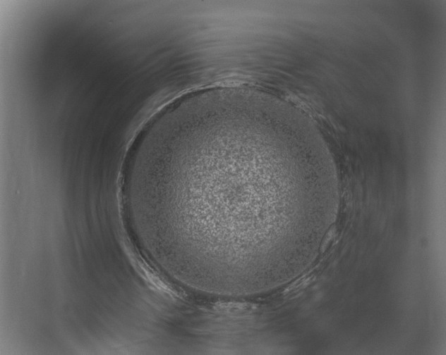 X0000073530242200608071155