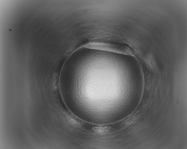 X0000073530273200608071155