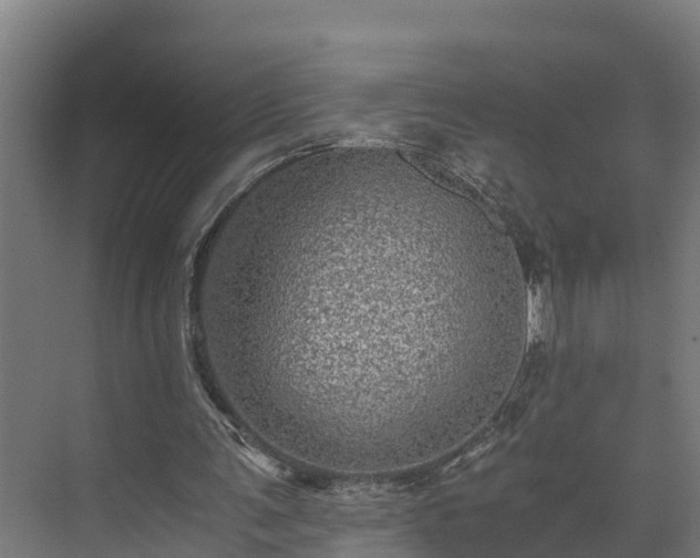 X0000073530291200608071155