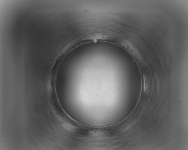 X0000073530300200608071154