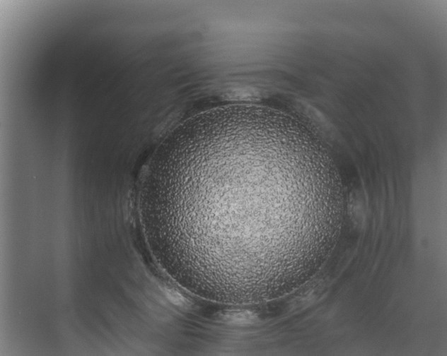 X0000073530322200608071154