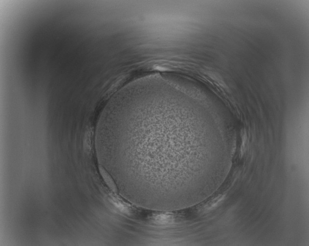 X0000073530325200608071154