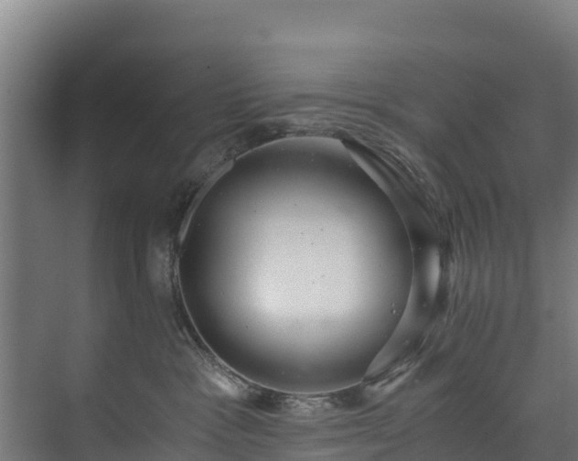 X0000073530333200608071154