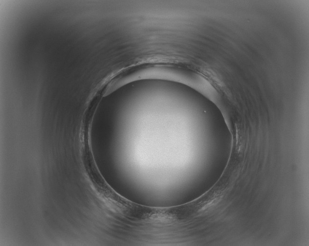 X0000073530348200608071153