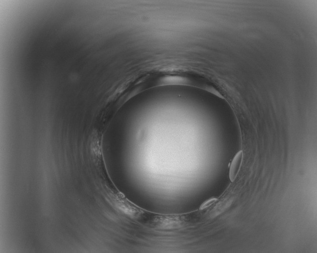 X0000073530384200608071154
