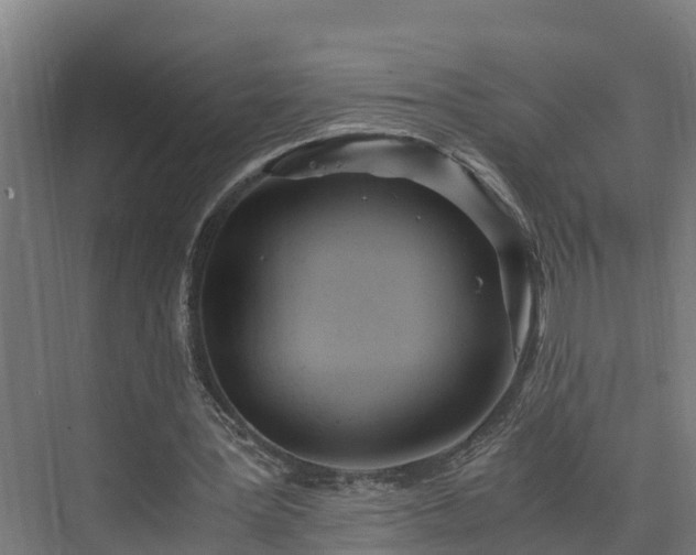 X0000073530387200608071153