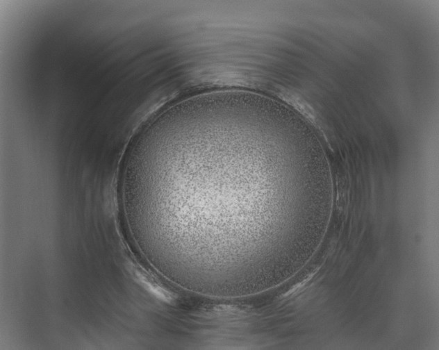 X0000073530390200608071153