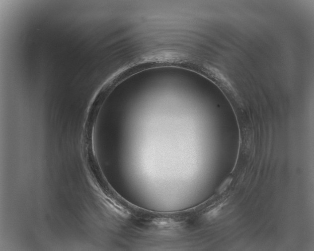 X0000073530392200608071153