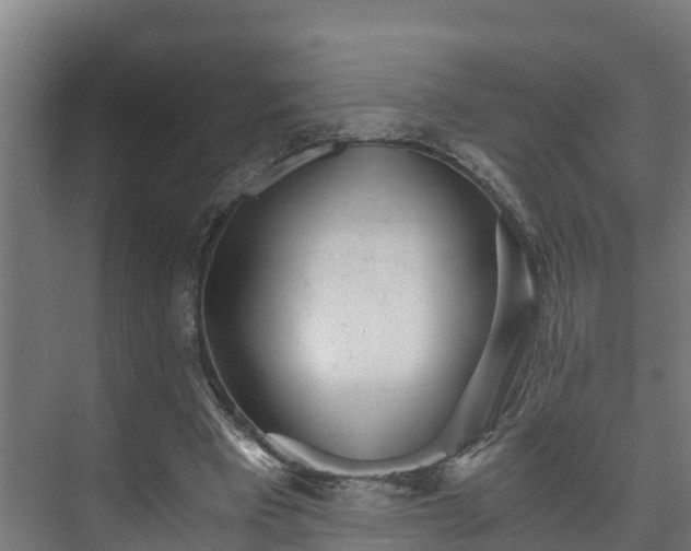 X0000073530393200608071153