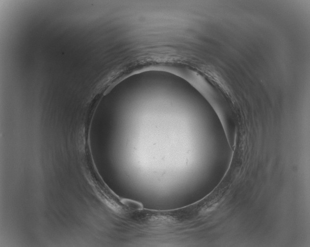 X0000073530397200608071153
