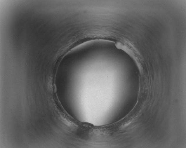 X0000073530489200608071151