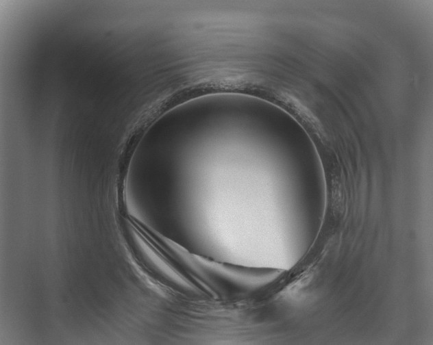 X0000073530493200608071151