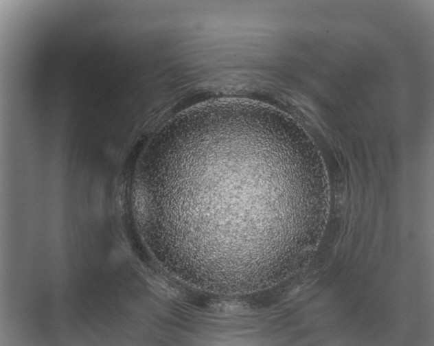 X0000073530503200608071151