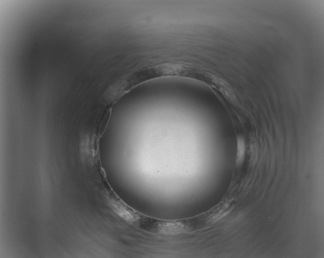 X0000073530525200608071151